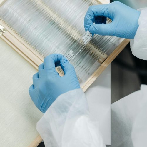 pexels pavel danilyuk 8442271